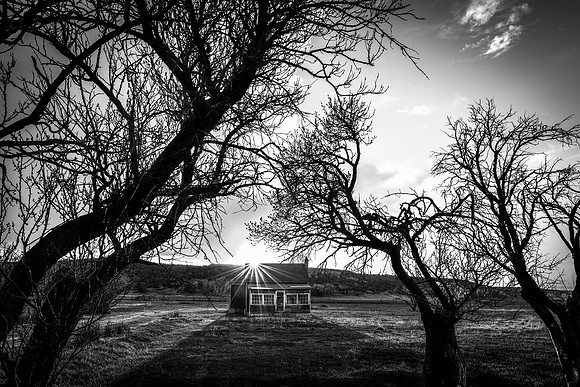 Colona Homestead
