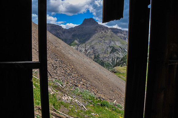 Looking Out