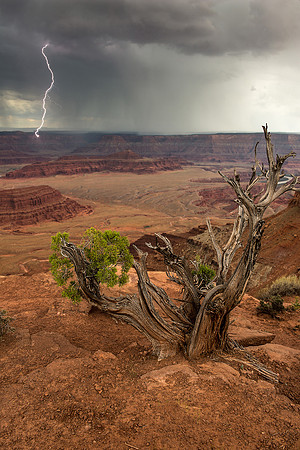 Dead Horse Point