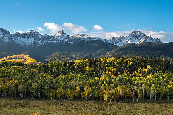 Mt Sneffels Autumn